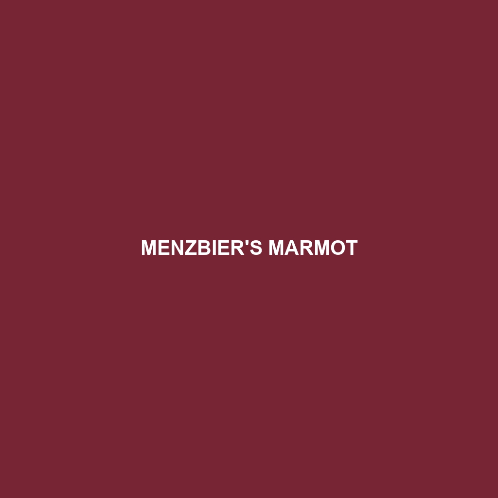 Menzbier's Marmot