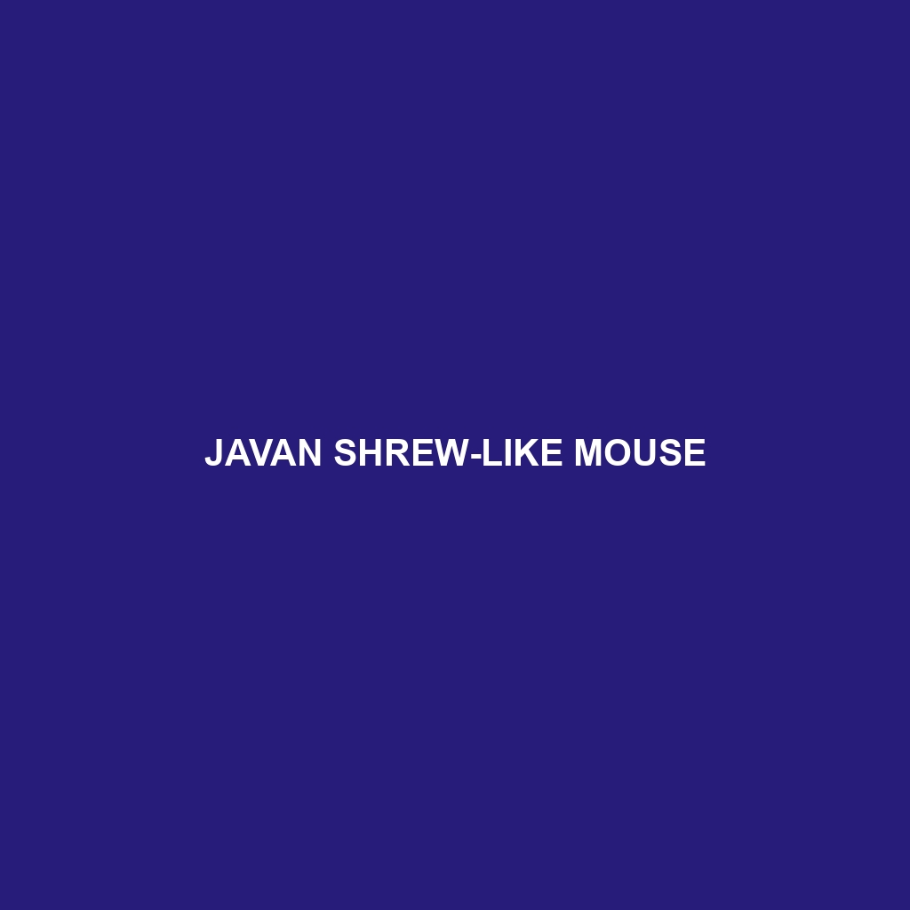 Javan Shrew-like Mouse