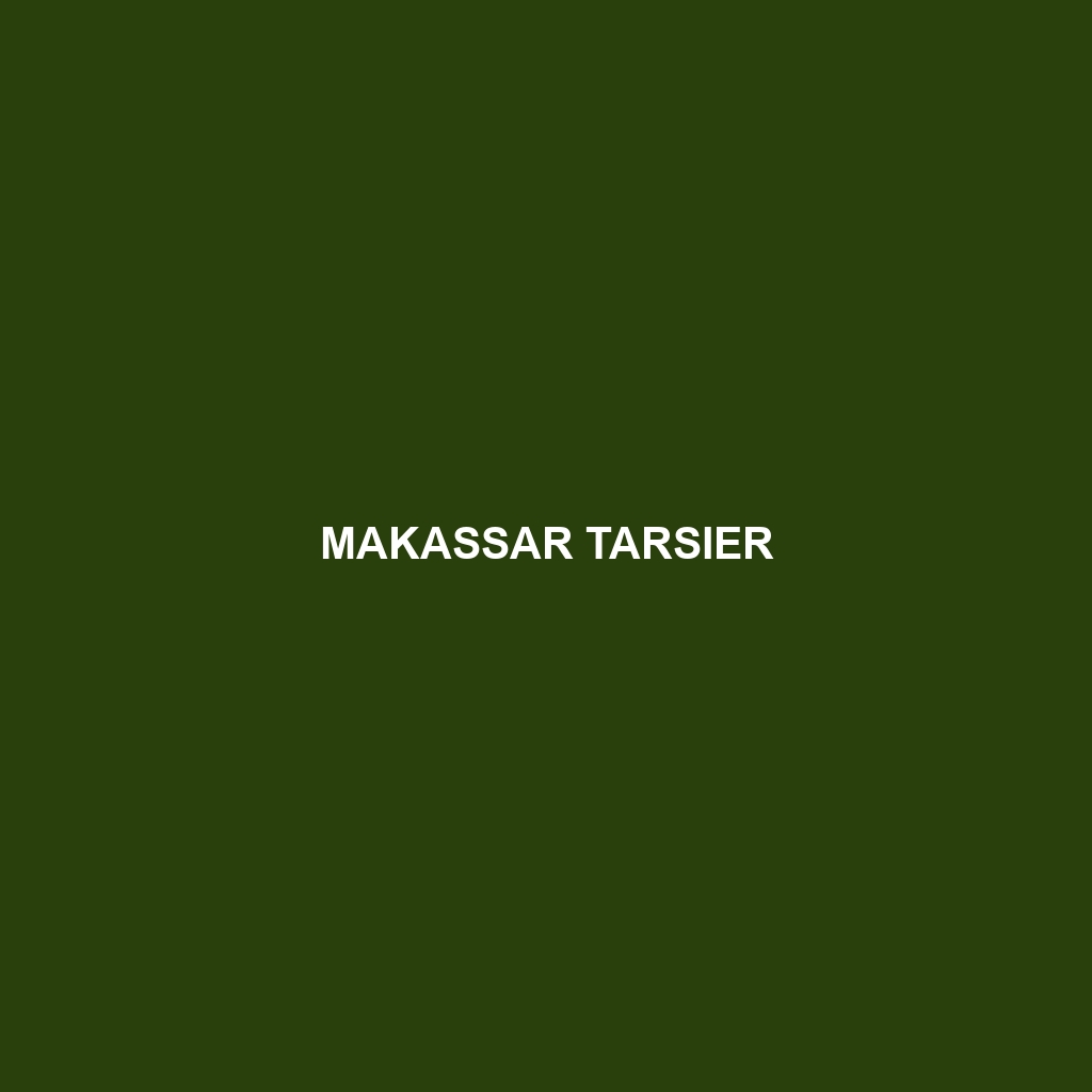 Makassar Tarsier