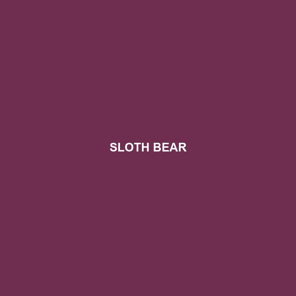 Sloth Bear