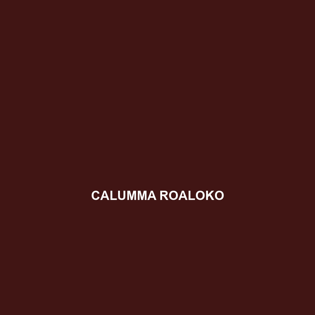 Calumma roaloko