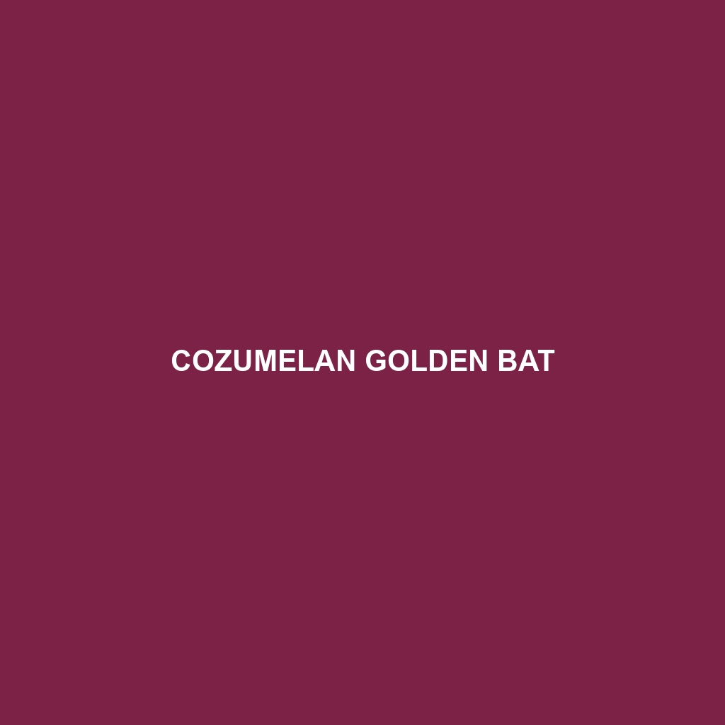 Cozumelan Golden Bat