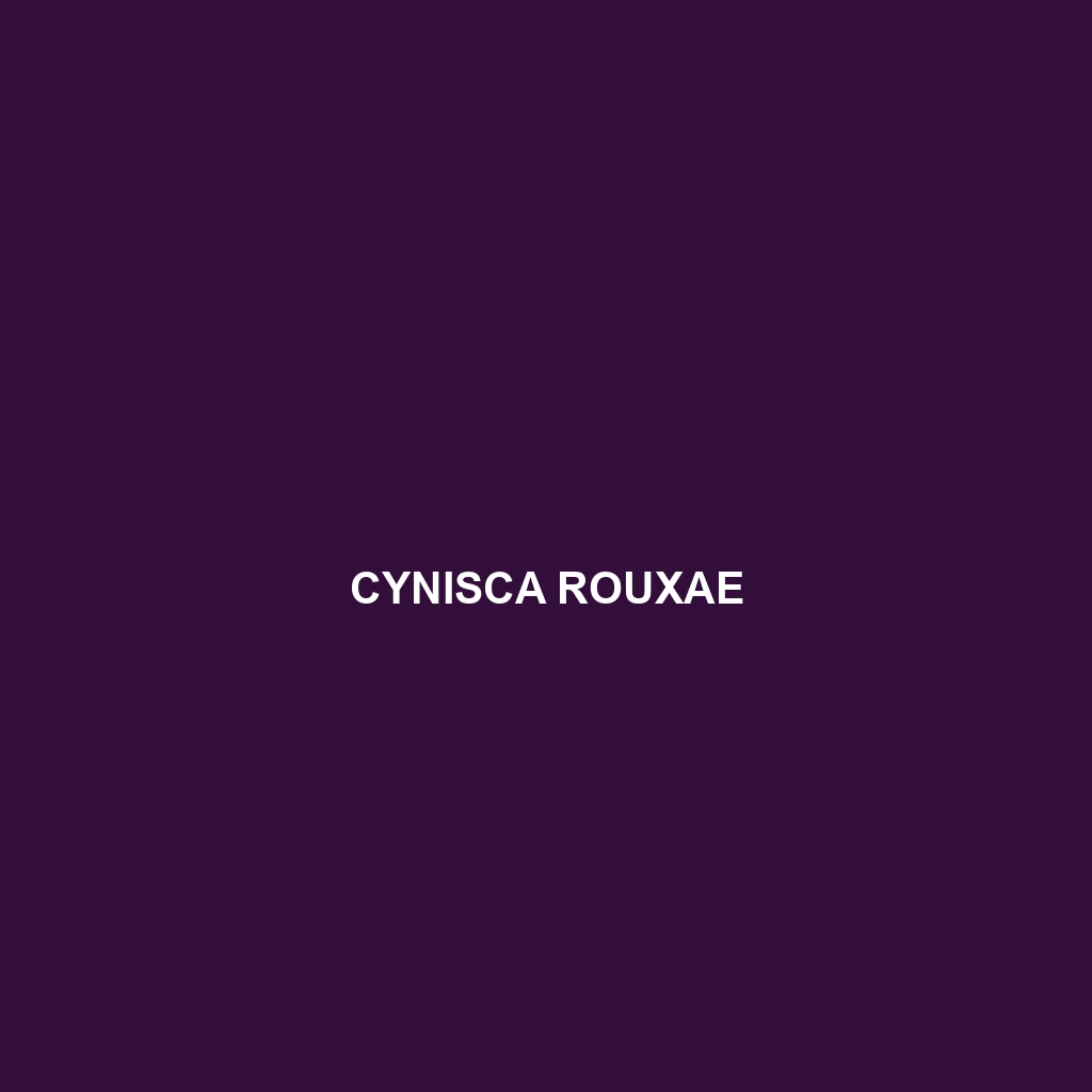 Cynisca rouxae