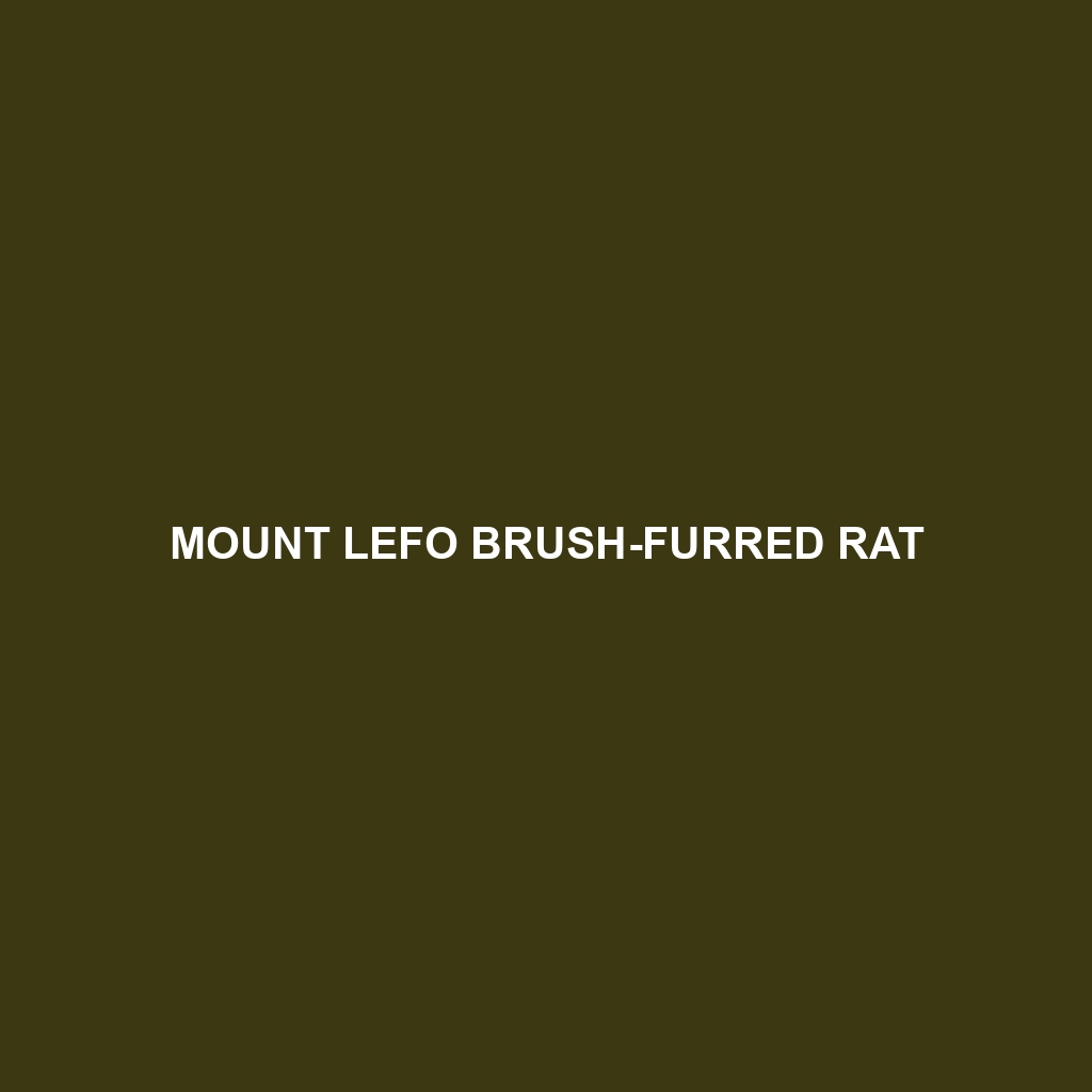 Mount Lefo Brush-furred Rat