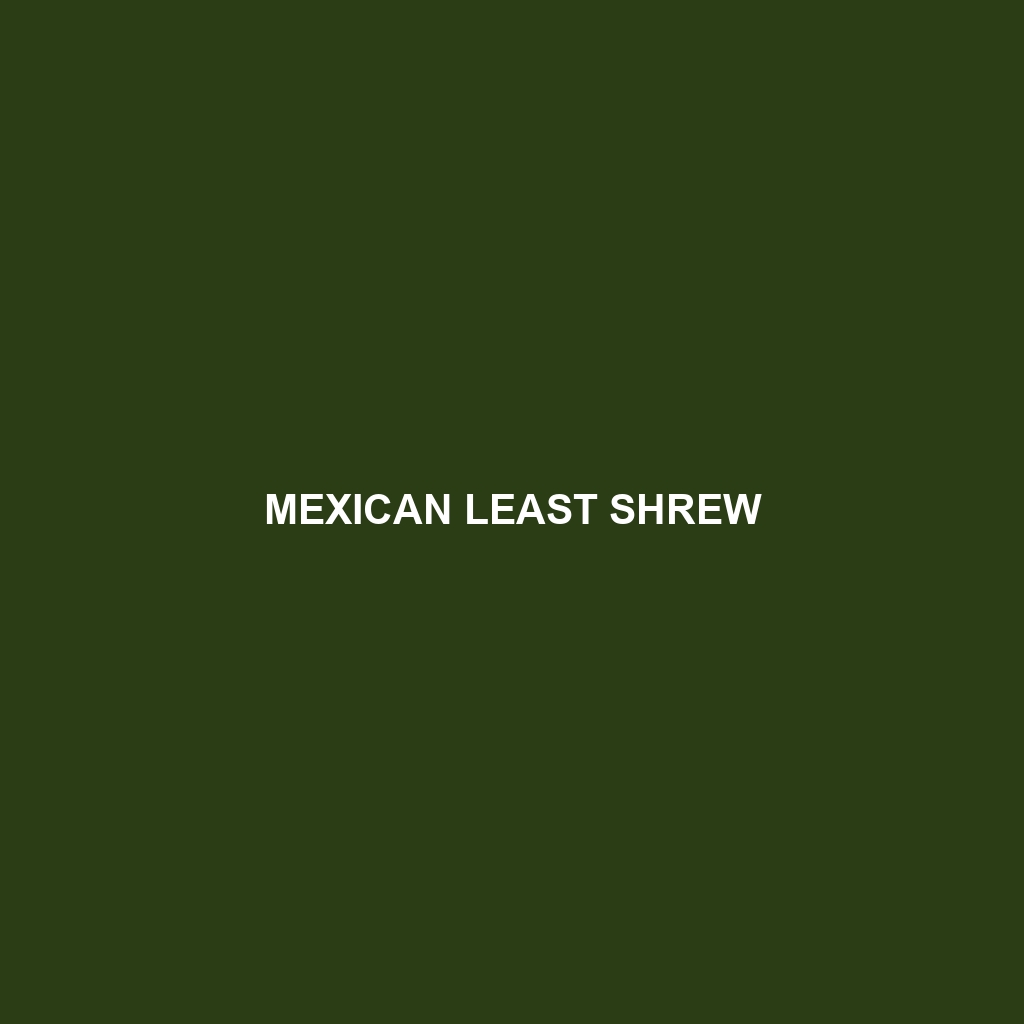 Mexican Least Shrew