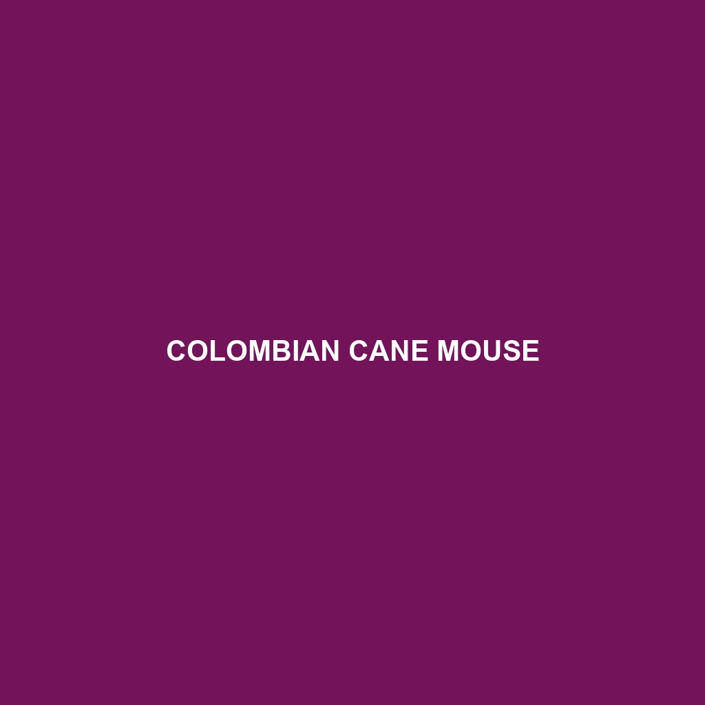 Colombian Cane Mouse