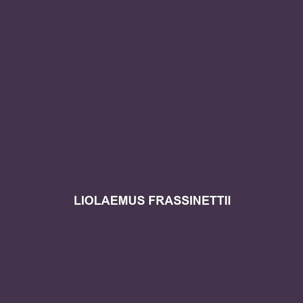 Liolaemus frassinettii