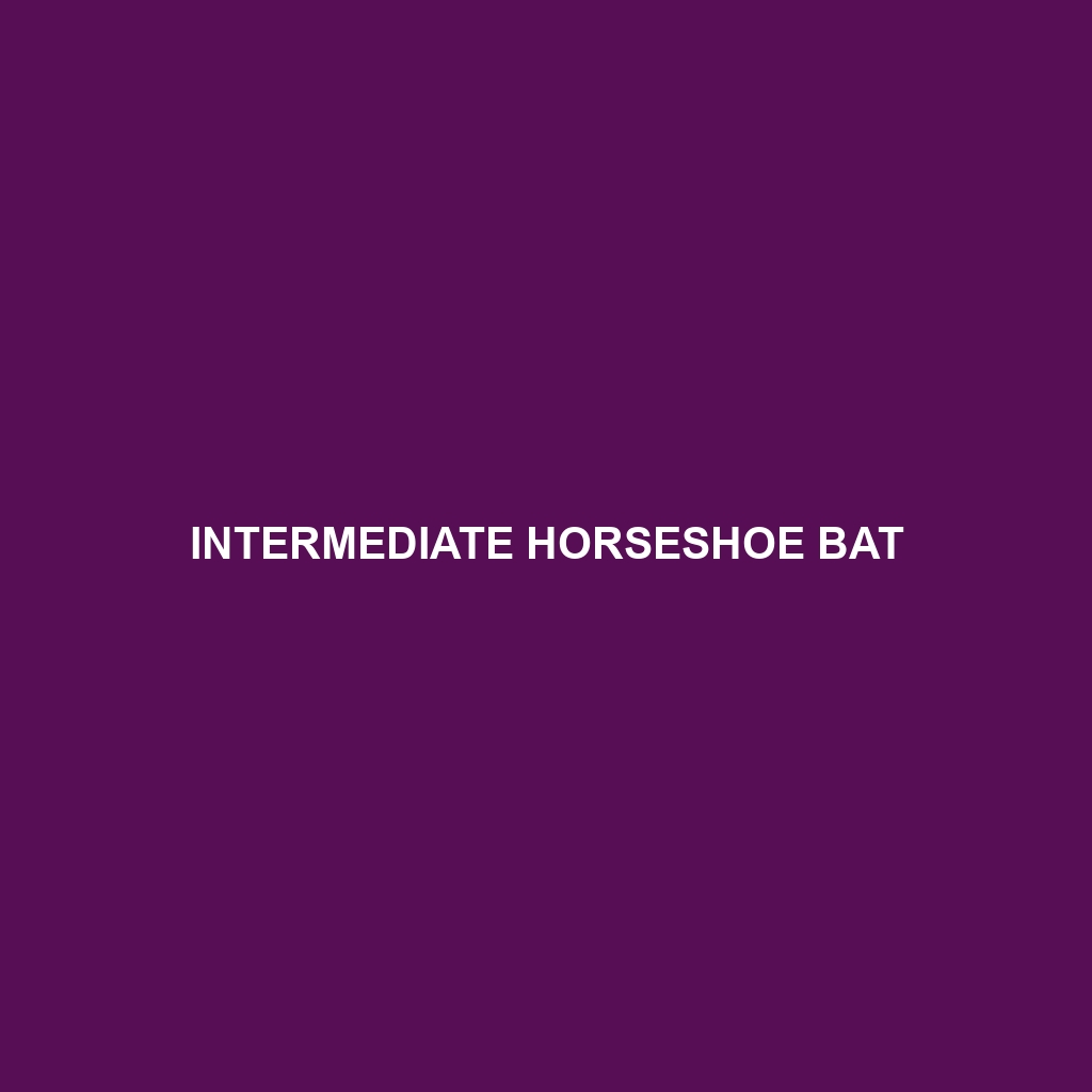 Intermediate Horseshoe Bat