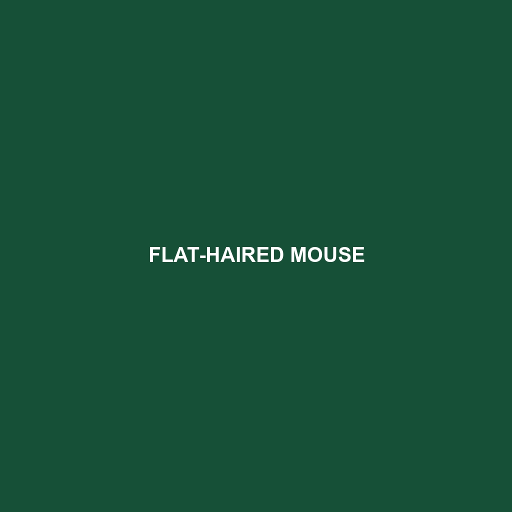 Flat-haired Mouse