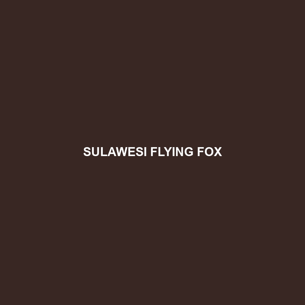 Sulawesi Flying Fox