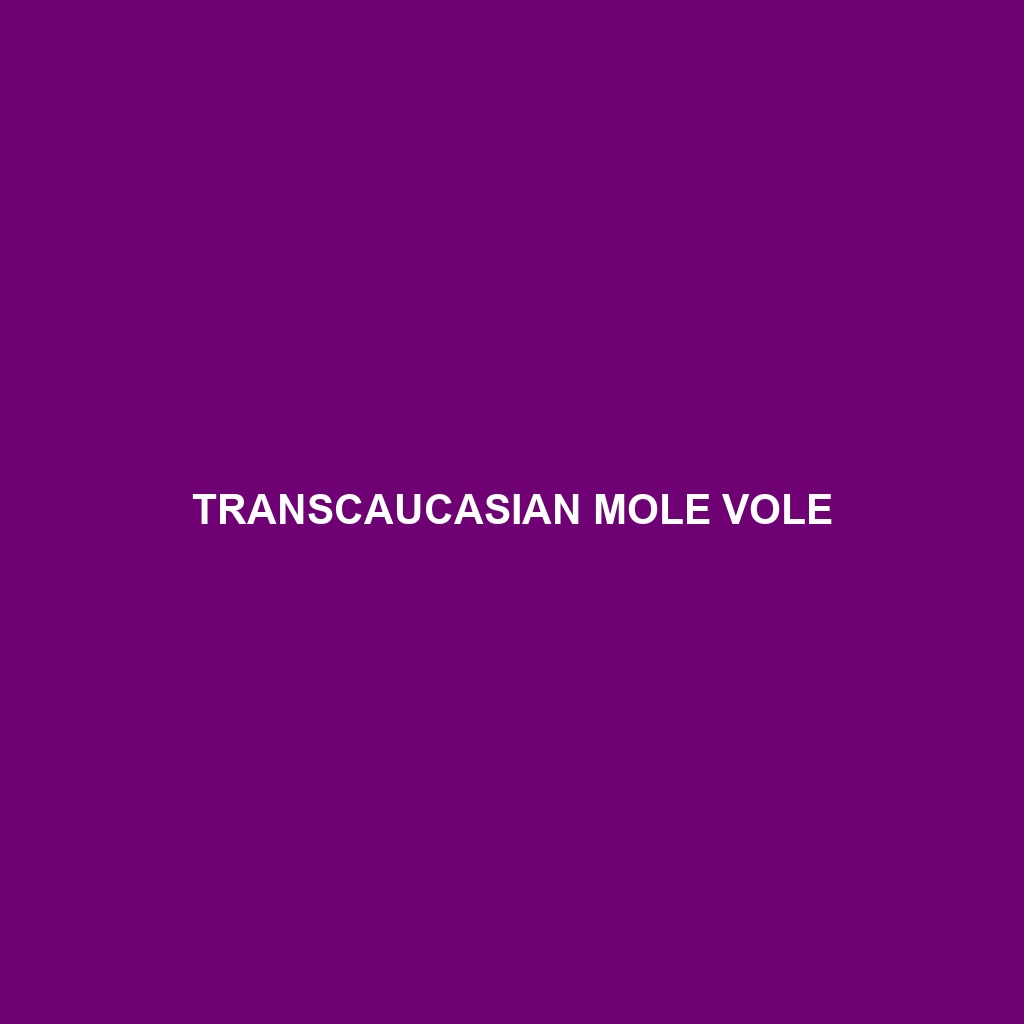 Transcaucasian Mole Vole