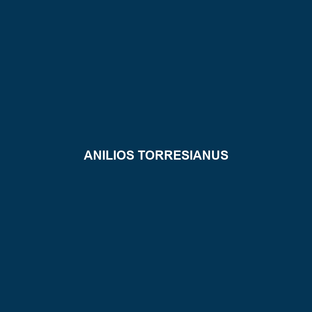 Anilios torresianus