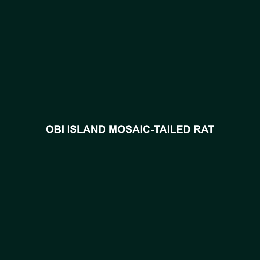 Obi Island Mosaic-tailed Rat