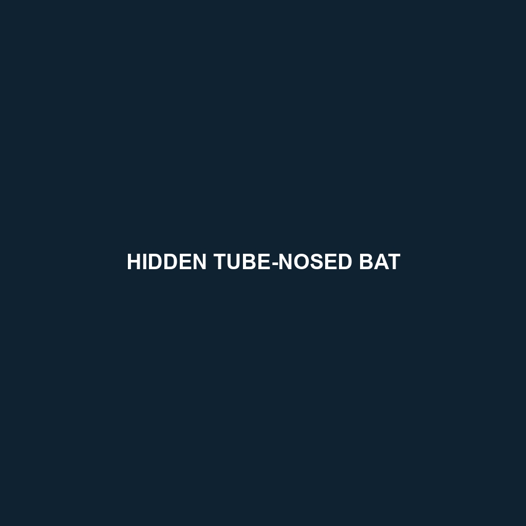 Hidden Tube-nosed Bat