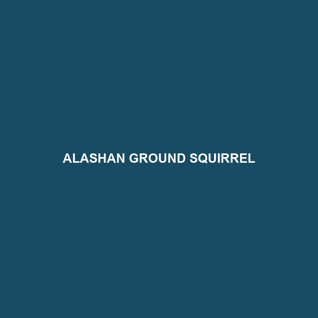 Alashan Ground Squirrel