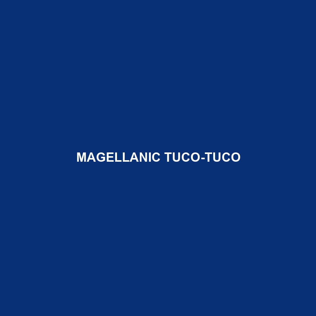 Magellanic Tuco-tuco