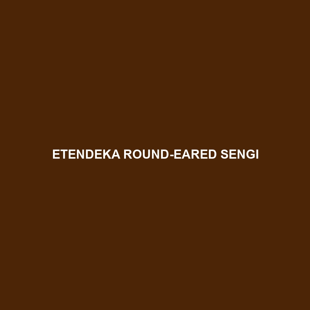 Etendeka Round-eared Sengi