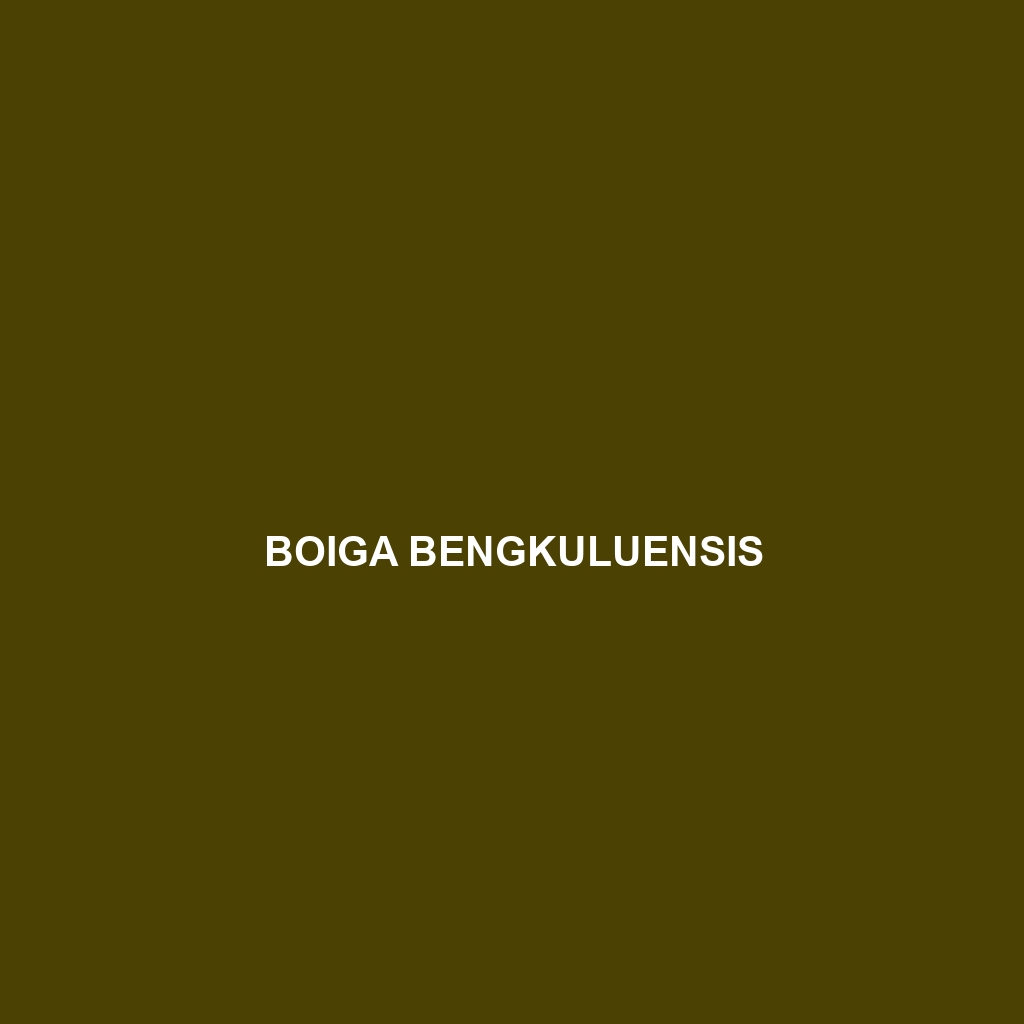 Boiga bengkuluensis