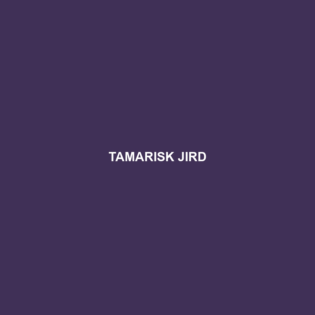 Tamarisk Jird