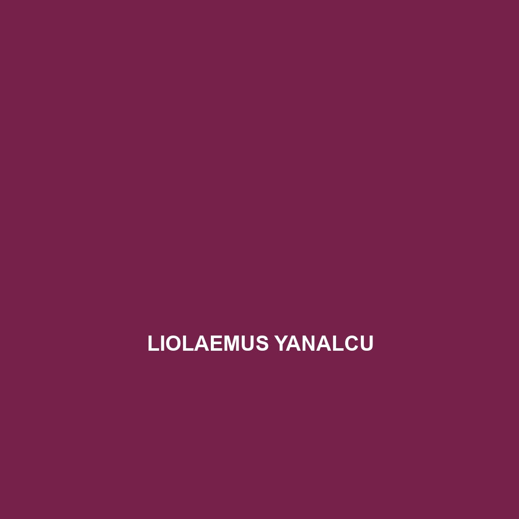 Liolaemus yanalcu