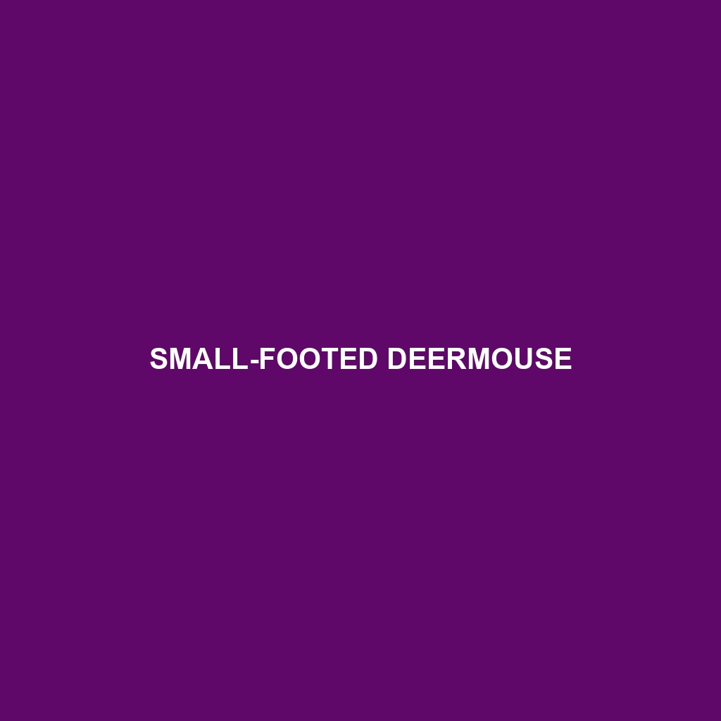 Small-footed Deermouse