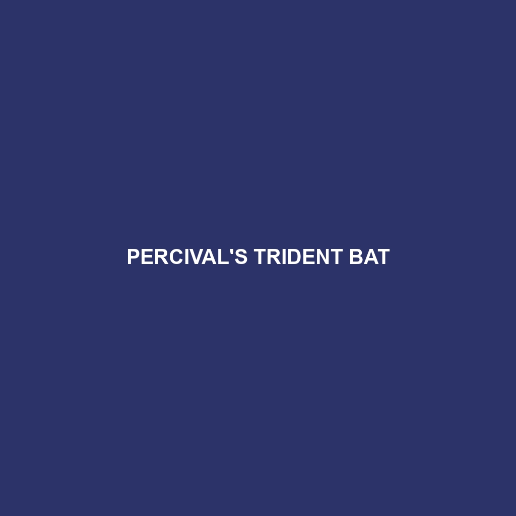 Percival's Trident Bat