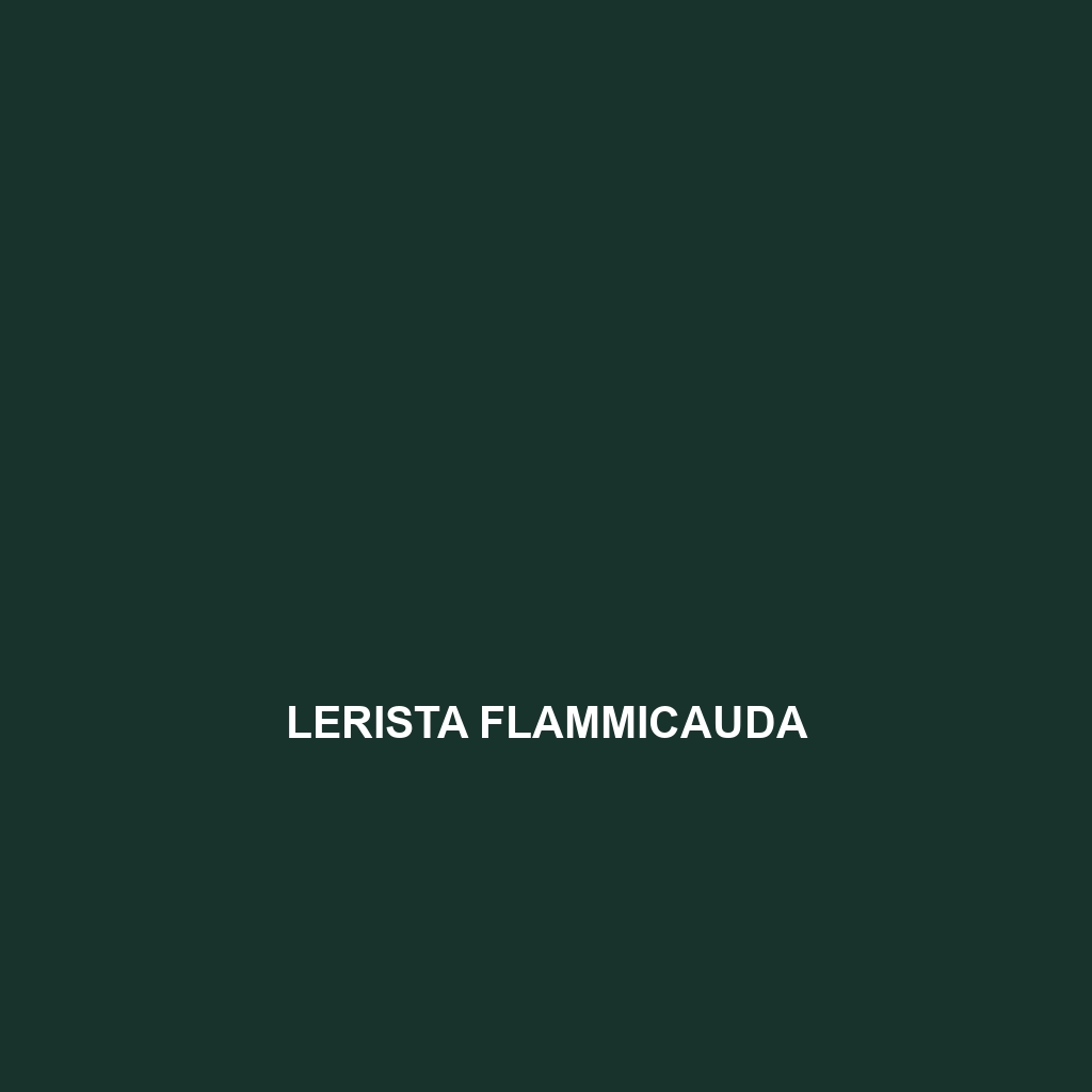 Lerista flammicauda