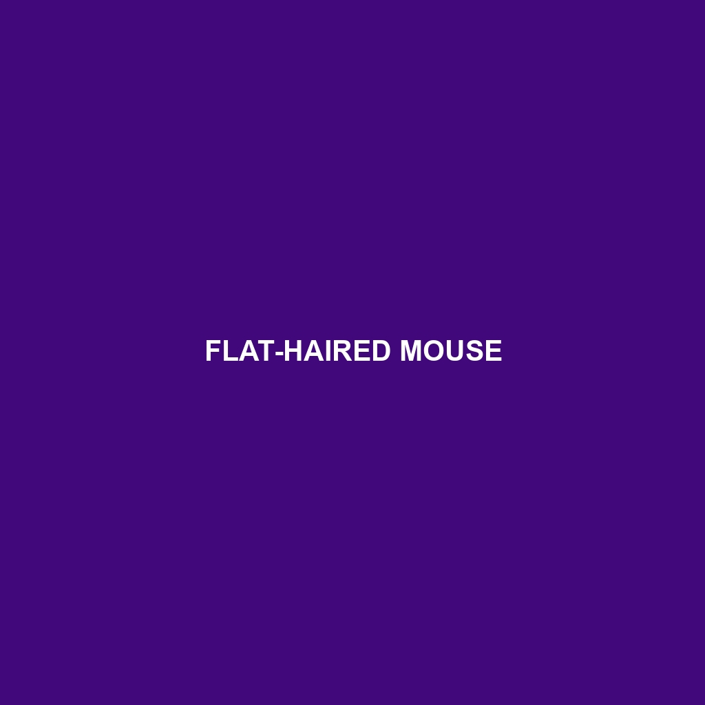 Flat-haired Mouse