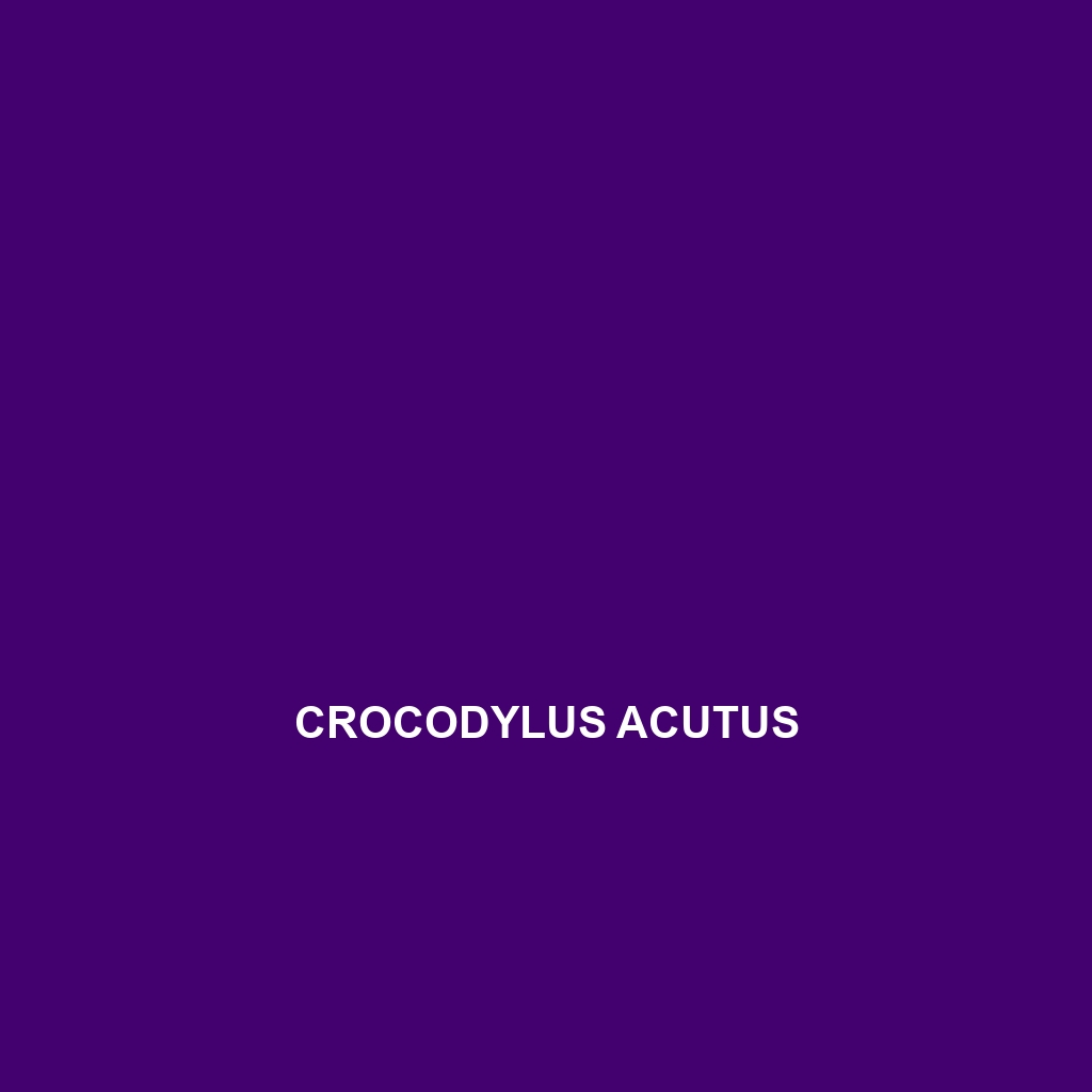 Crocodylus acutus