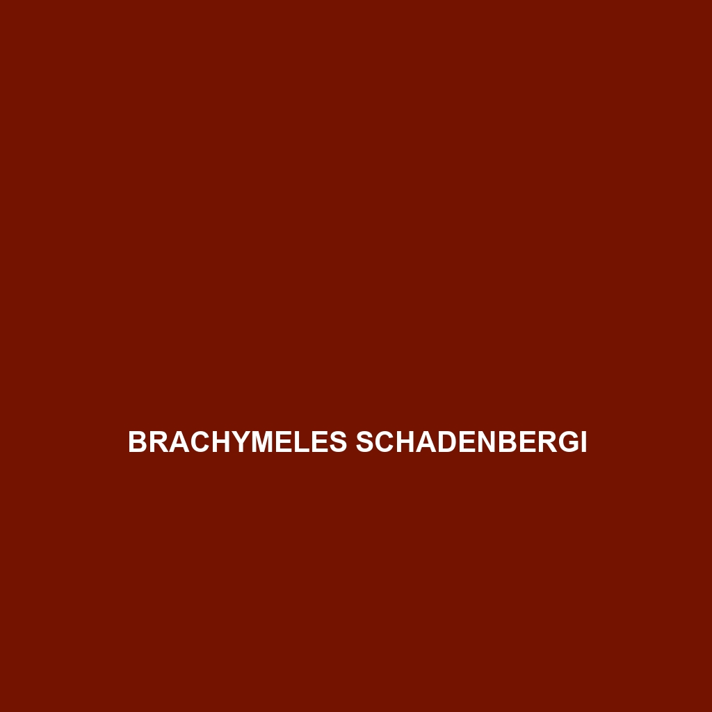 Brachymeles schadenbergi