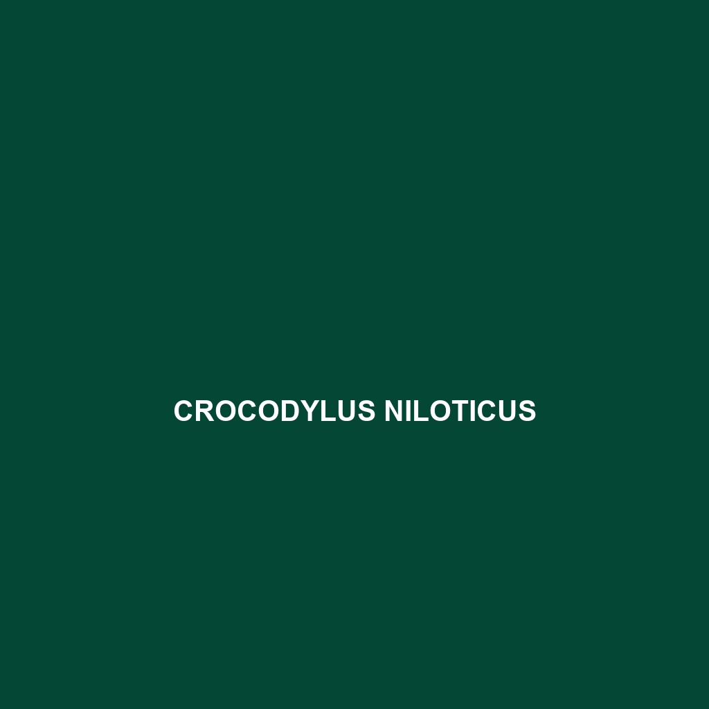 Crocodylus niloticus