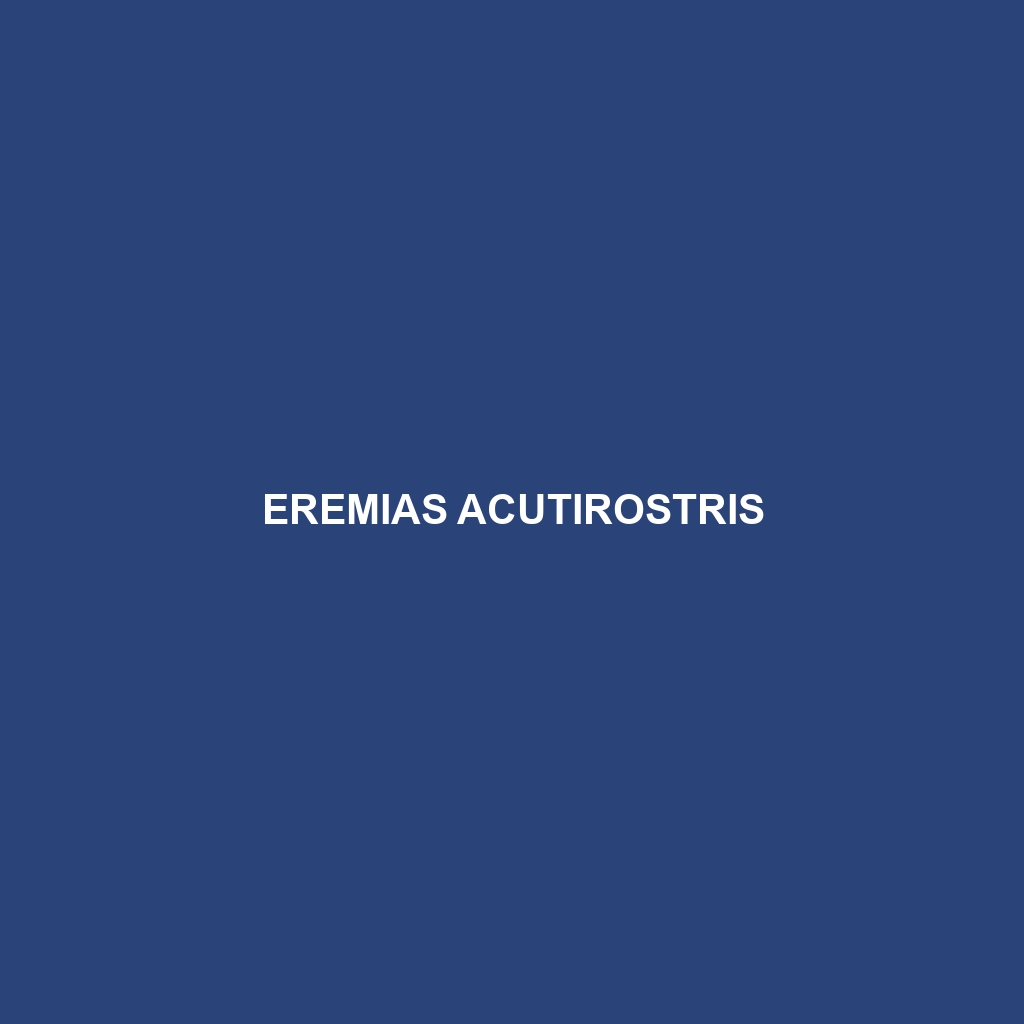 Eremias acutirostris