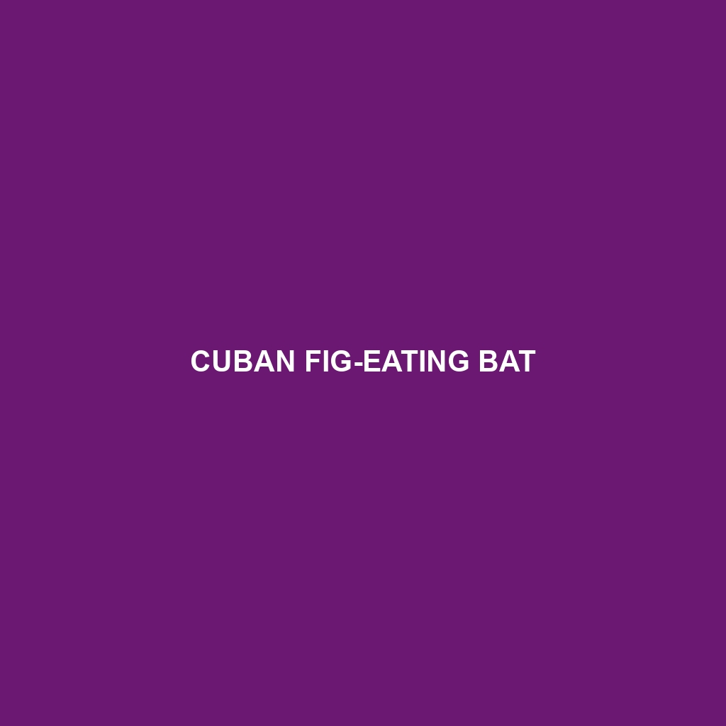 Cuban Fig-eating Bat