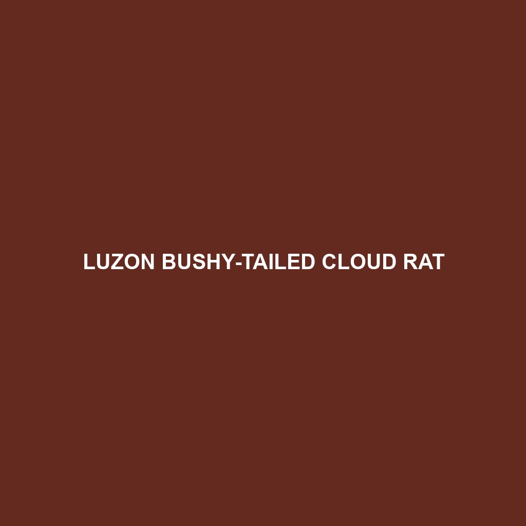 Luzon Bushy-tailed Cloud Rat