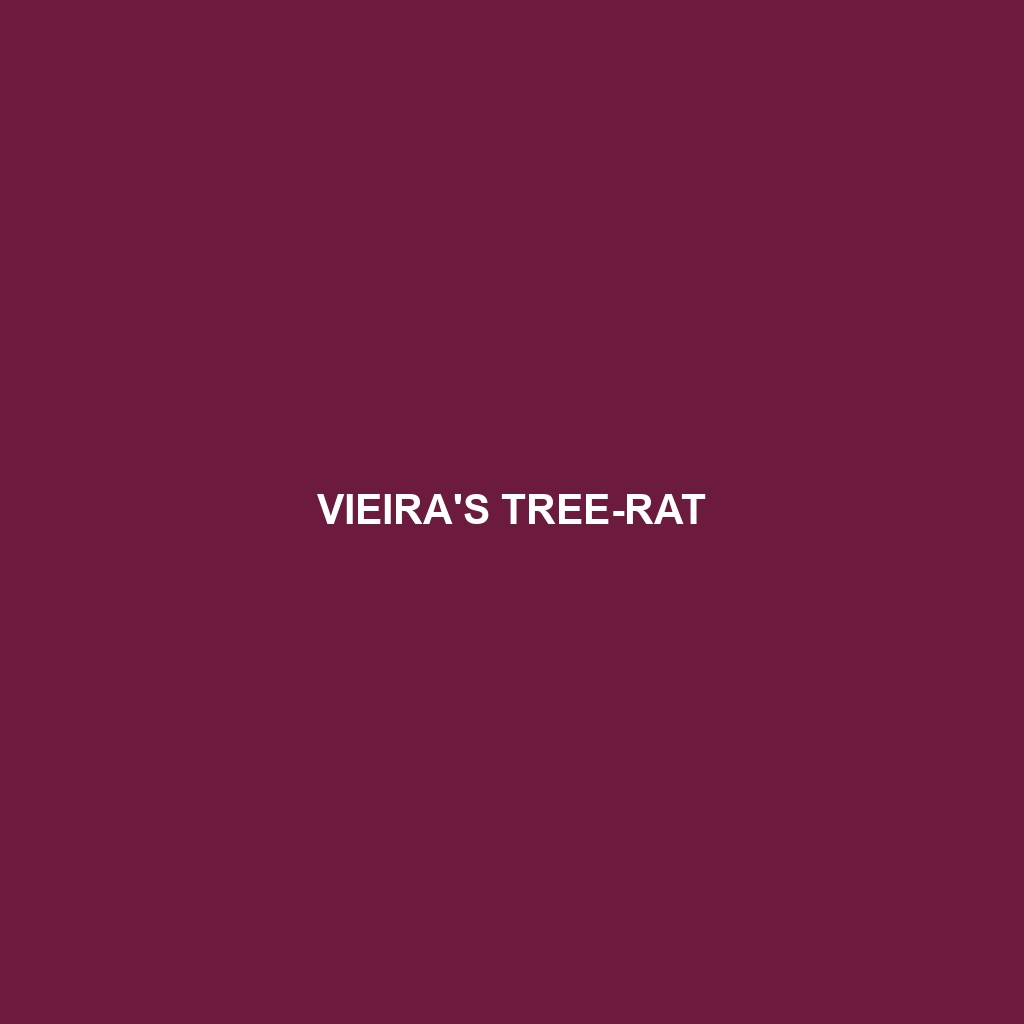 Vieira's Tree-rat