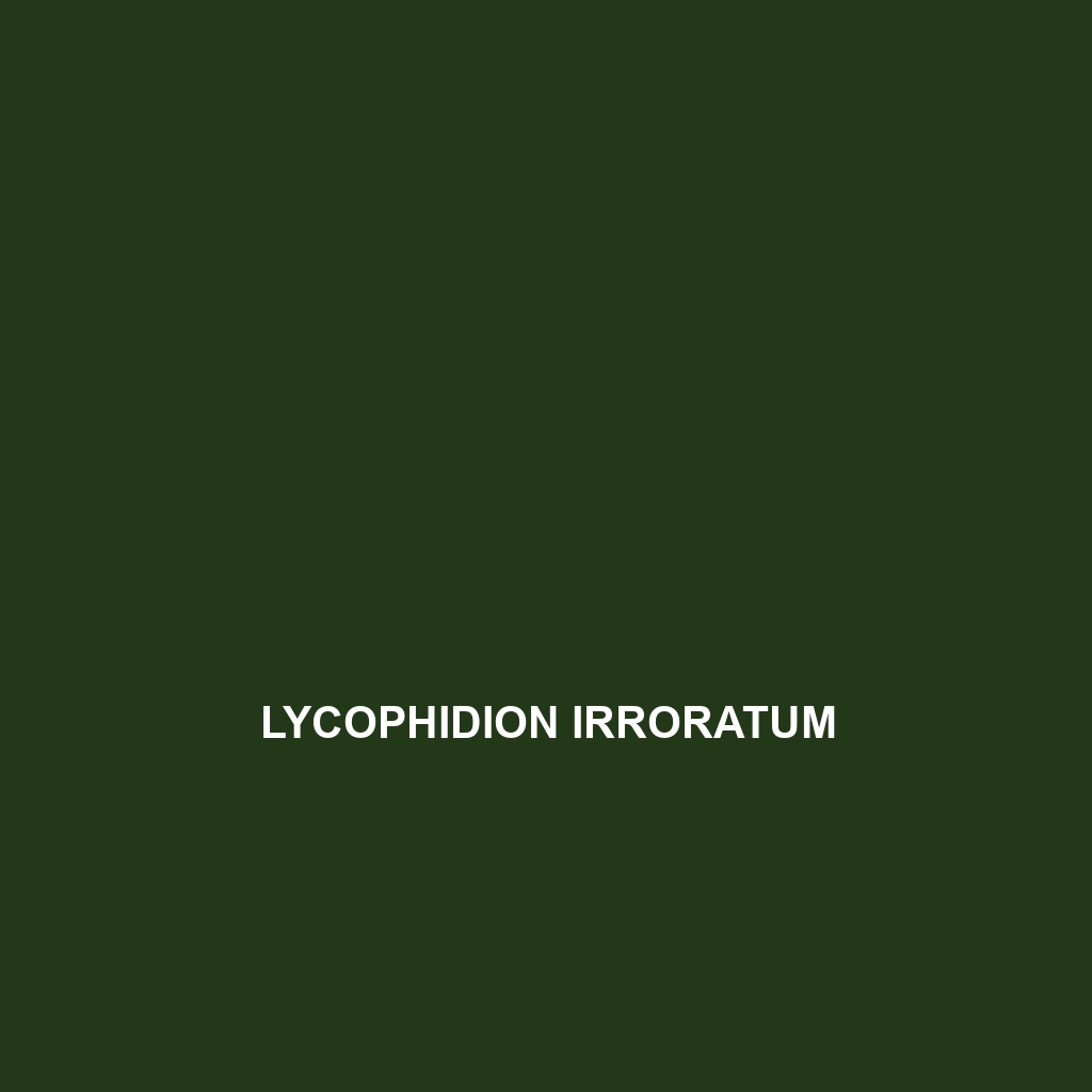 Lycophidion irroratum