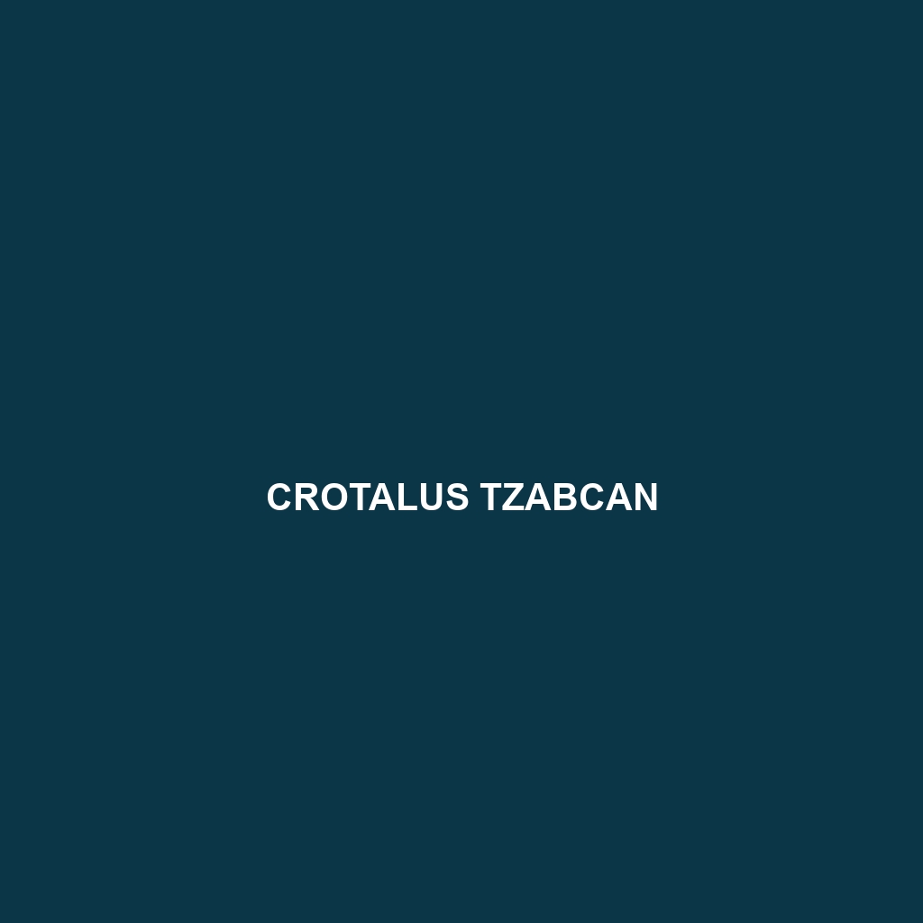 Crotalus tzabcan