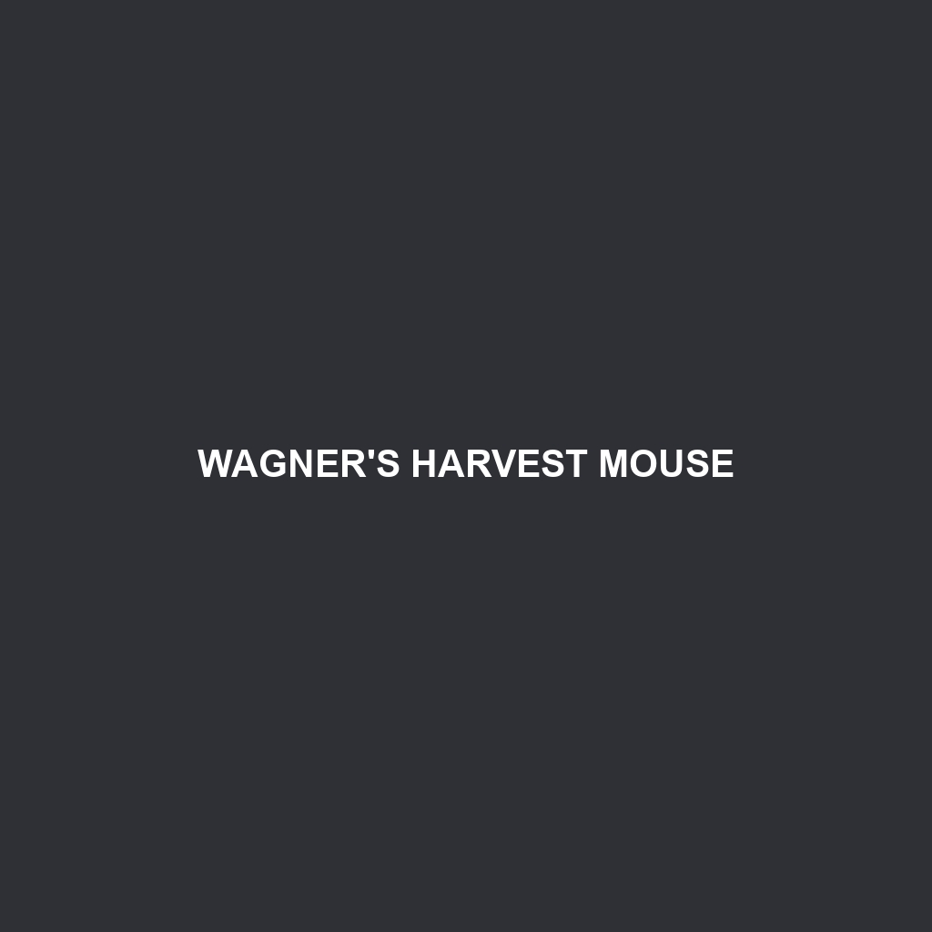 Wagner's Harvest Mouse