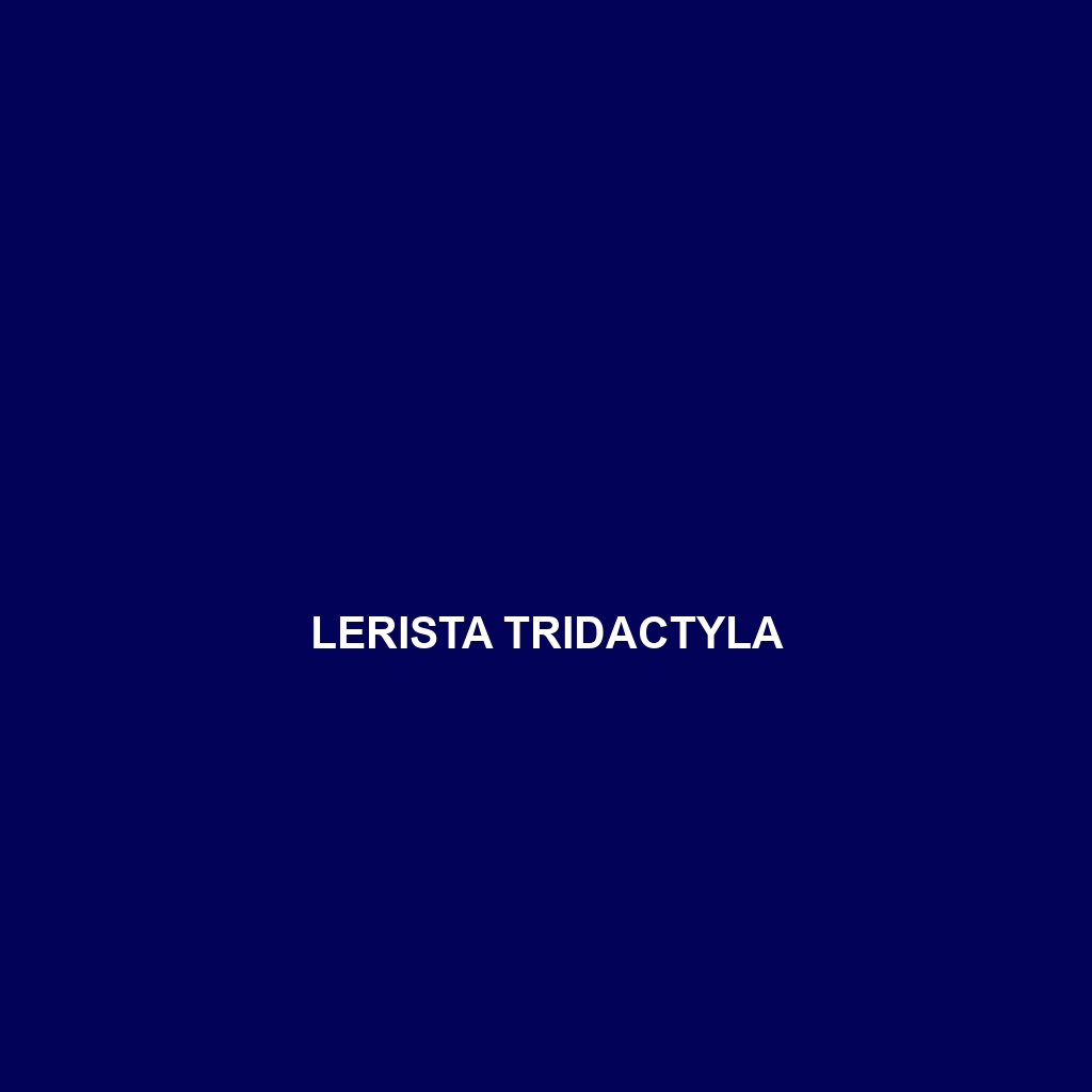 Lerista timida