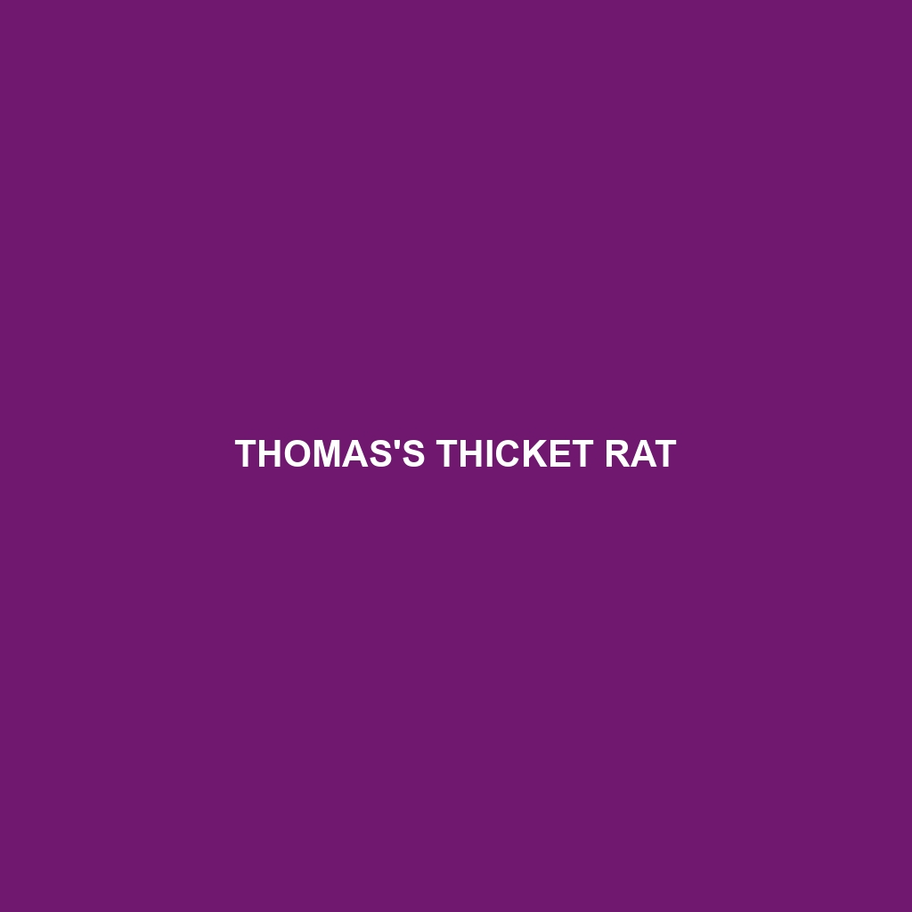 Thomas's Thicket Rat