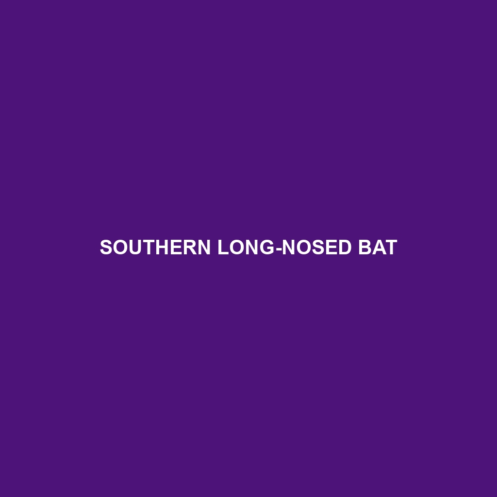 Southern Long-nosed Bat