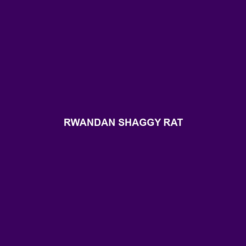 Rwandan Shaggy Rat