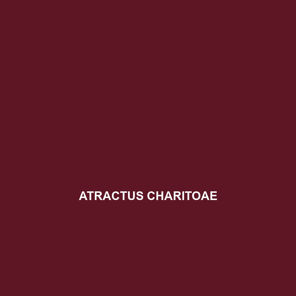 Atractus charitoae