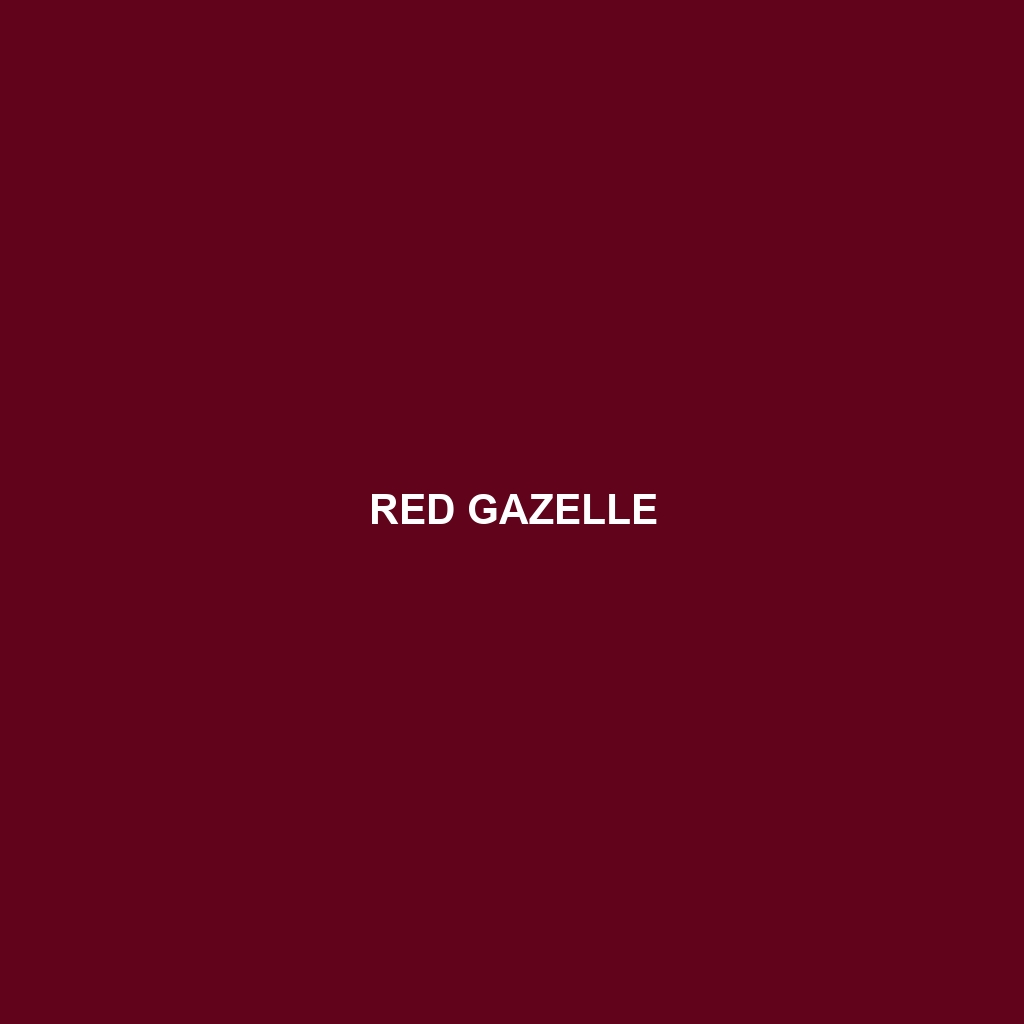 Red Gazelle