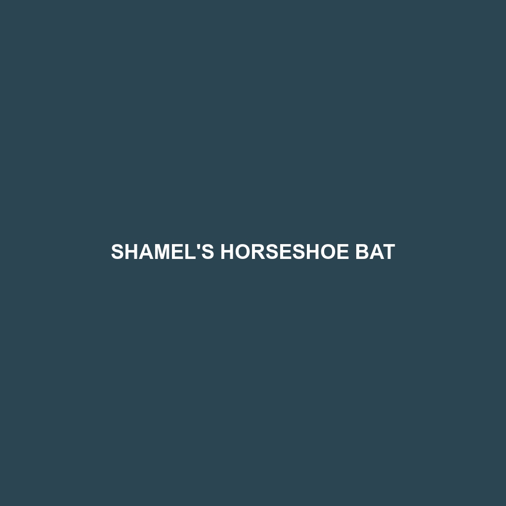 Shamel's Horseshoe Bat