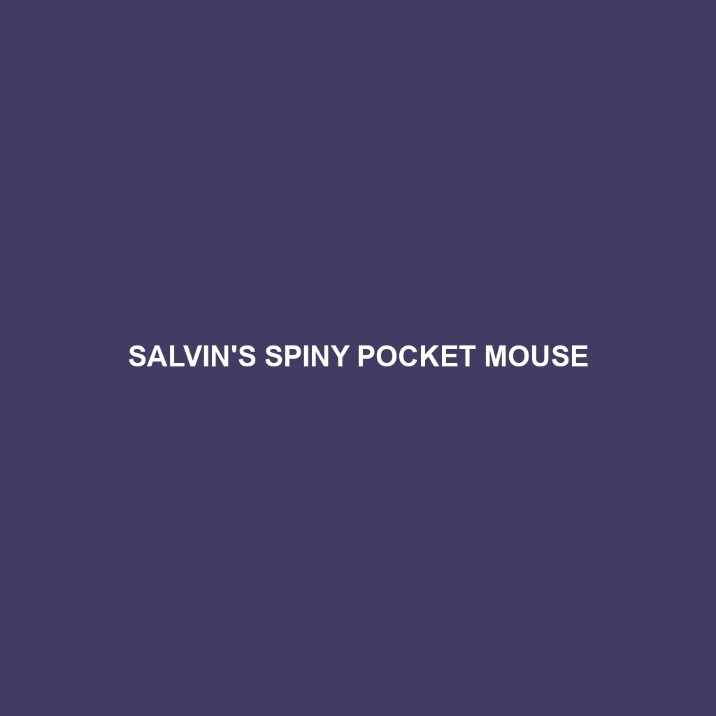 Salvin's Spiny Pocket Mouse