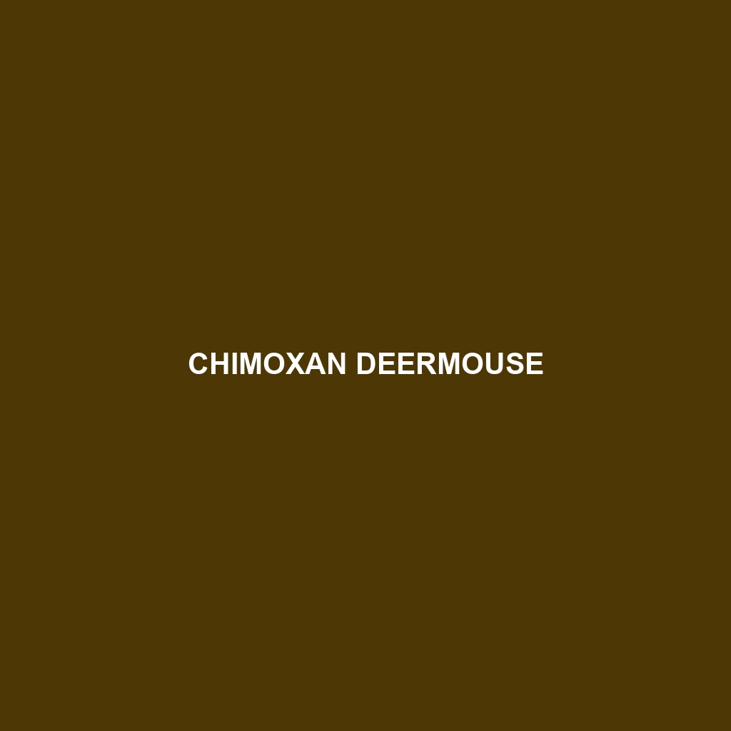 Chimoxan Deermouse