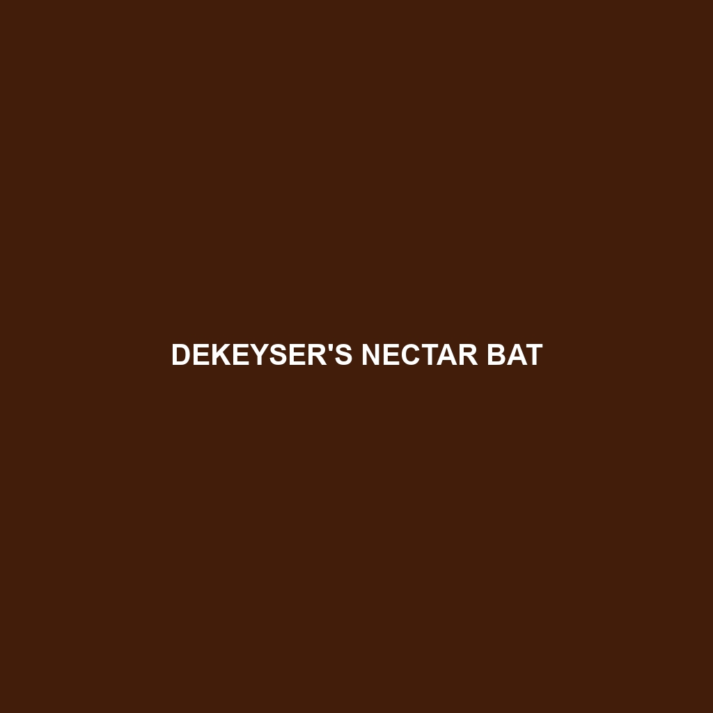 Dekeyser's Nectar Bat