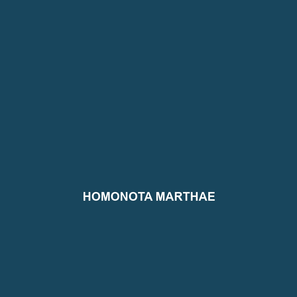 Homonota marthae