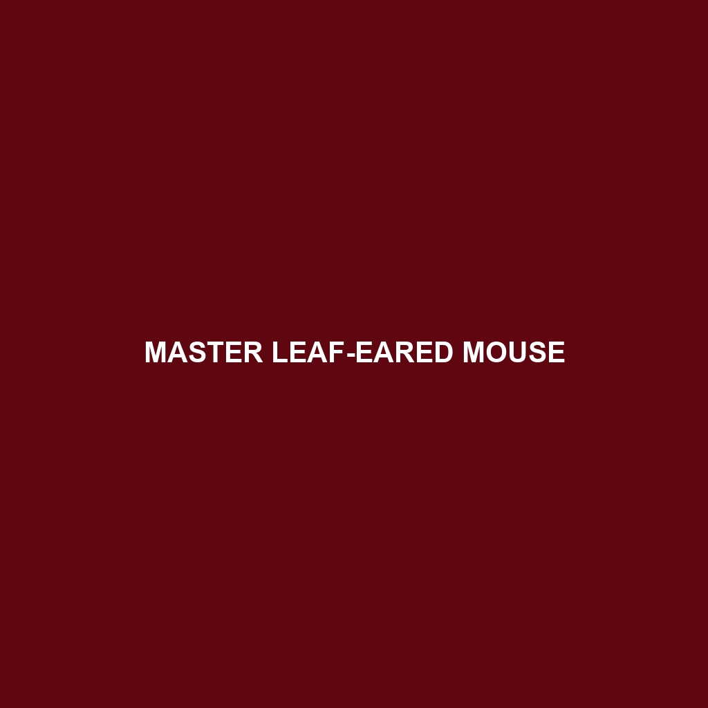 Master Leaf-eared Mouse